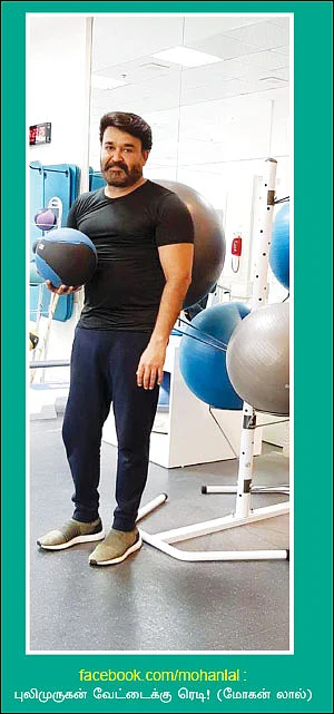 வலைபாயுதே
