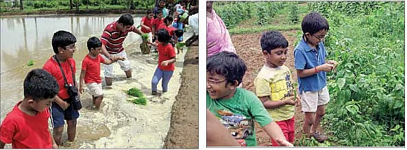 வாங்க... விவசாயம் பழகலாம் !