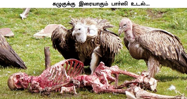 எனது இந்தியா!