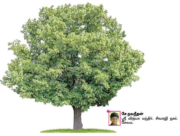 சுட்டி ஸ்டார் நியூஸ்