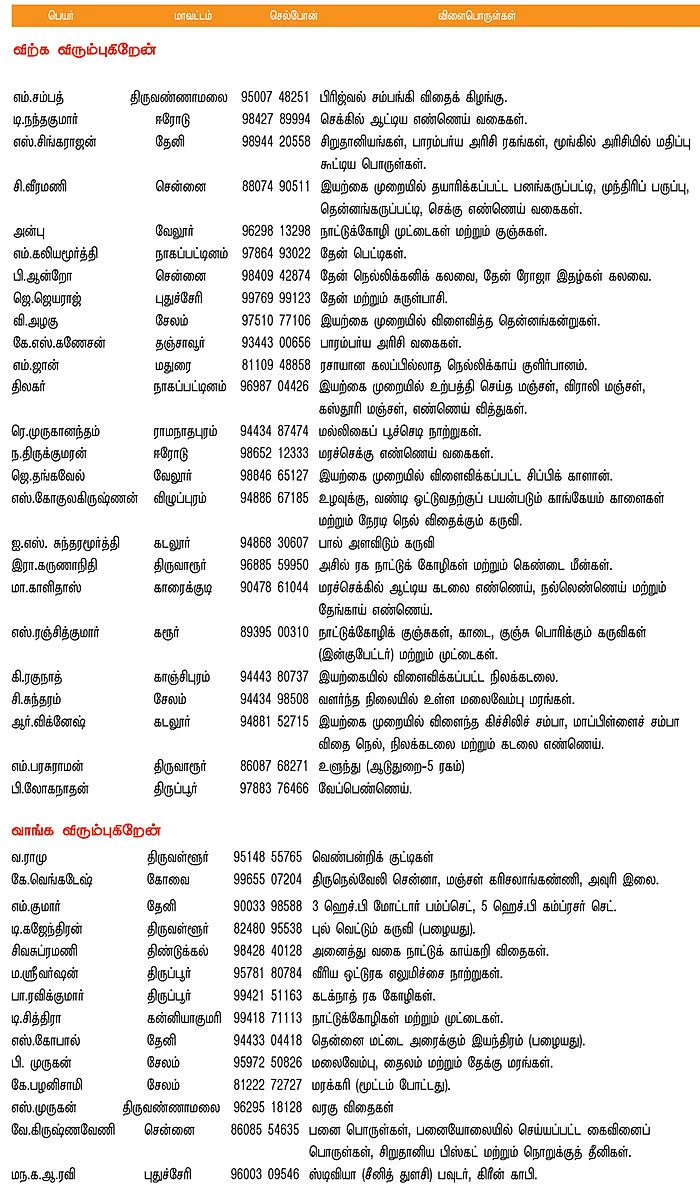 பசுமை சந்தை