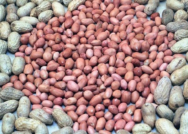 ஏற்றம் தரும் ஏற்றுமதி தொழில்கள் - 28