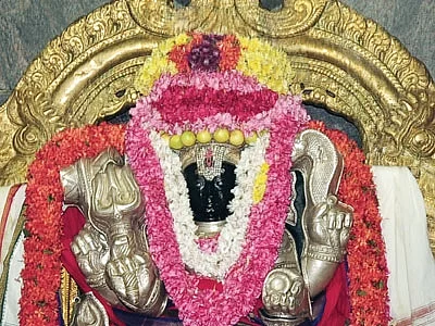 பயம் நீக்கி பலம் அருளும் பைரவ தரிசனம்! #VikatanPhotoCards
