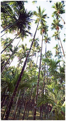 நீங்கள் கேட்டவை