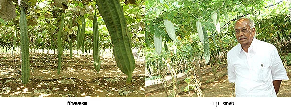 12 ஏக்கர்... 7 மாதங்கள்... 25 லட்சம்...