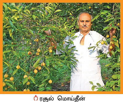 10 ஏக்கர் ரூ10 லட்சம் லாபம் தென்னை, பாக்கு, ஜாதிக்காய்...