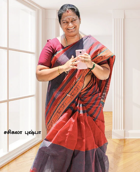 மிஸ்டர் கழுகு : புஷ்பா புயல்!