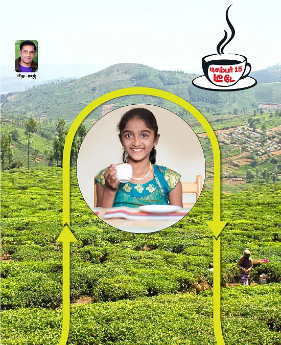 எப்படிக் கிடைக்குது தித்திக்கும் தேநீர்?