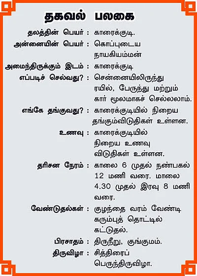 குறை தீர்த்து குலம் காக்கும் கொப்புடை நாயகி!