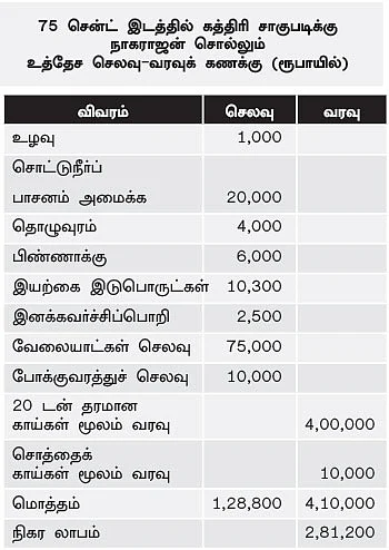 இயற்கையில் இனிக்கும் கத்திரி!
