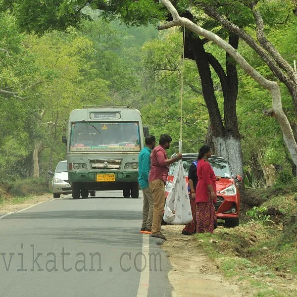 ஆபத்தை உணராத சுற்றுலாப் பயணிகள் - முதுமலை புலிகள் காப்பகத்தில் அத்துமீறல்..!