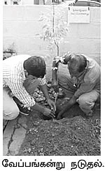 ‘பசுமை என் உயிர்!’