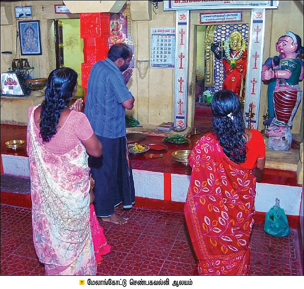செம்பா - நீலா