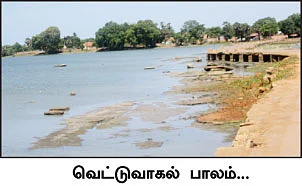 காட்டின் நடுவே ஒரு நீச்சல் குளம்!
