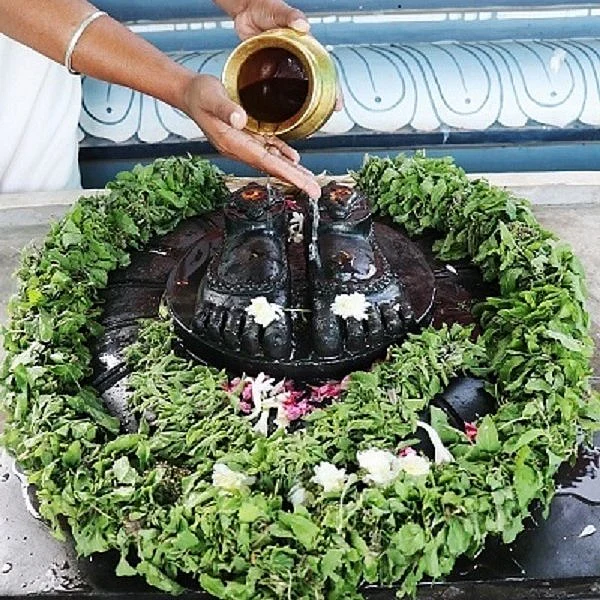 செல்வ வளம் அருளும் அமிர்தகலச அபிஷேகம் - அனுவாவி ஆஞ்சநேயர்கோயிலில் அனுமத் ஜயந்தி!