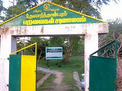 சுற்றுச்சூழலுக்கு வேட்டுவைத்த கலெக்டர்... சாட்டையைச் சுழற்றிய நீதிபதி!