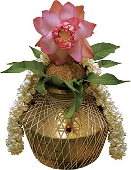 அர்த்தமுள்ள ஹோமங்கள்!