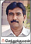 மா விவசாயிகளே... பூக்கள் பூக்கும் தருணம்... பச்சைத் தத்துப்பூச்சி கவனம்!
