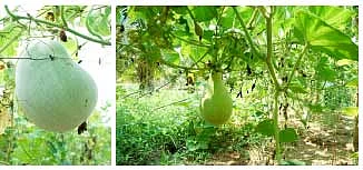சின்னச் சின்ன நுட்பங்கள்... பெரிய பெரிய பலன்கள்...