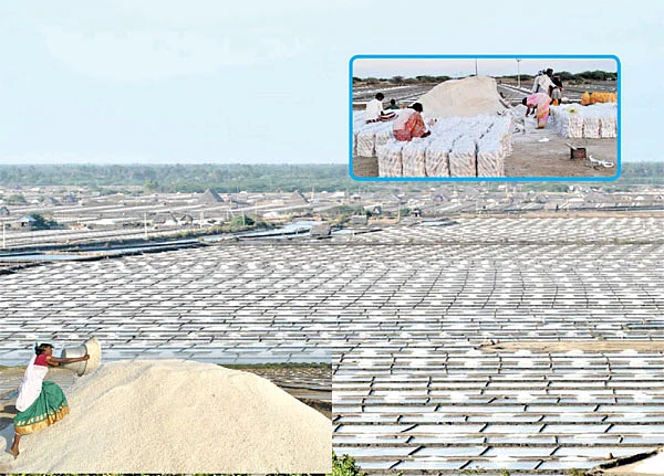 உப்பளத்தை உள்ளளவும் நினை!