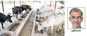 ஆழ்குழாய் கிணற்றில் சிக்கிய மோட்டாரை மீட்பது எப்படி ?