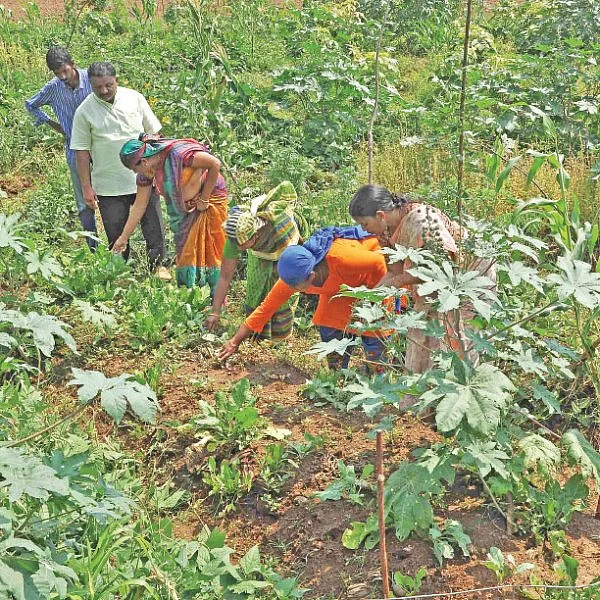 ஒரு நாள் விவசாயி! பருவம் - 2 - அசத்தலான இயற்கைப் பண்ணை!