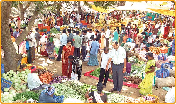கருவாடு வாங்கினால் போட்டோ ஃப்ரீ!