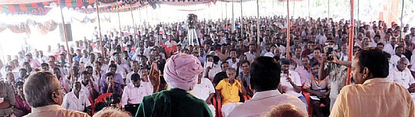 பென்ஷன் கொடுக்கும் மரங்கள்..!