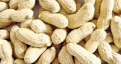 ஆடிப்பட்டம்.... ஏறுமுகத்தில் மஞ்சள்... இறங்குமுகத்தில் பருத்தி!