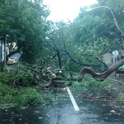 #Vardah - பலி எண்ணிக்கை 10-ஆக உயர்வு