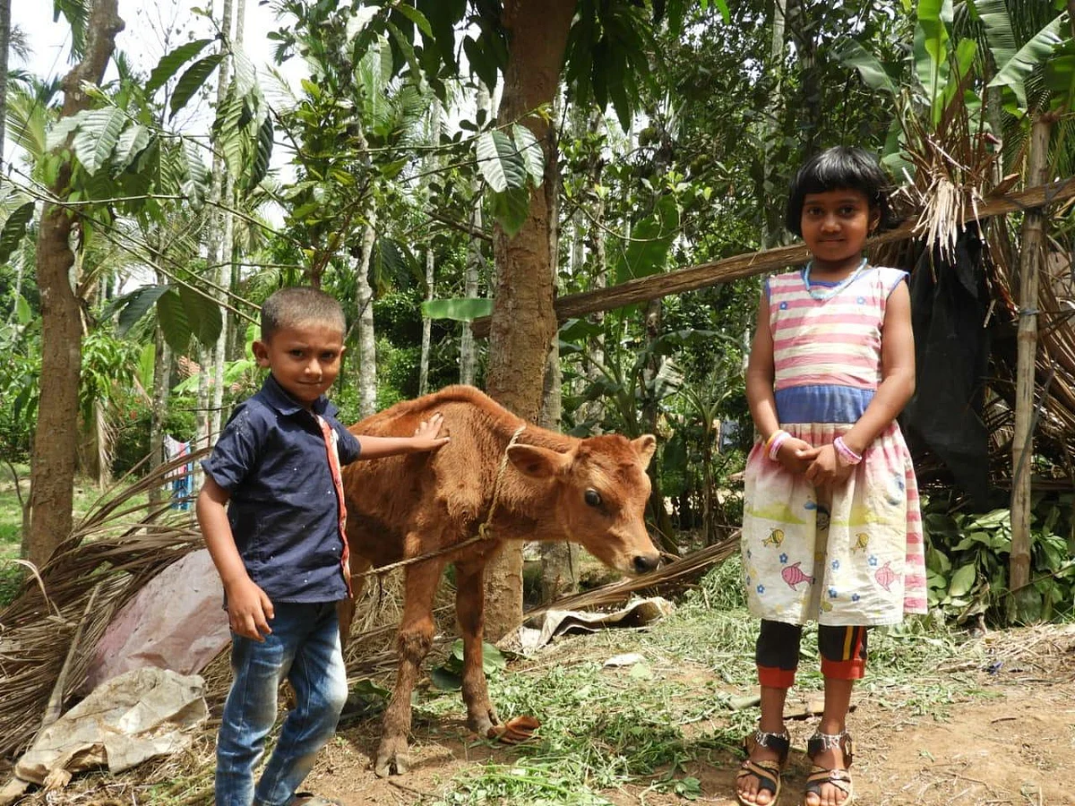 'தற்சார்பு பொருளாதாரம்னா இப்படி இருக்கணும்!' பாடம் எடுக்கும் கூடலூர் பழங்குடியினர்