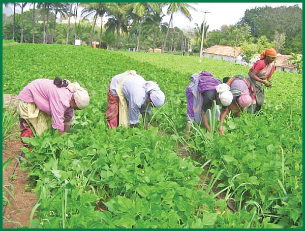 நுண்ணுயிர்களைப் பெருக்கும் வித்தை!