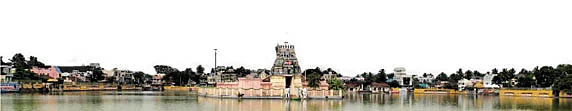 கமலாலய தெப்பமும்... பெரியாரின் வெங்காயமும்!