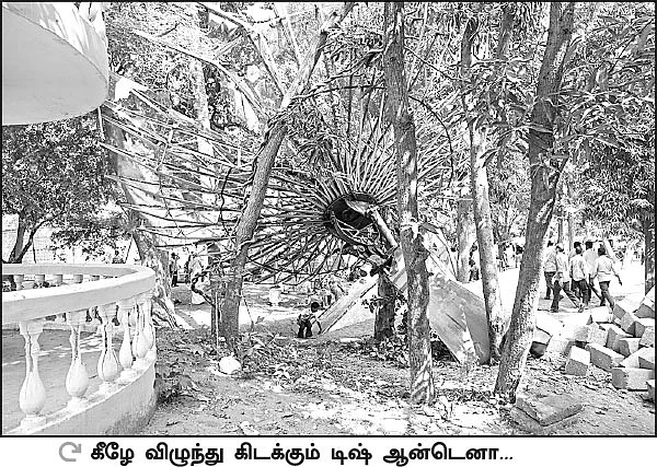 தோட்டத்துக்குள் புகுந்த கார்டன்!