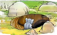 விக்கி சைலா ஜீபா !