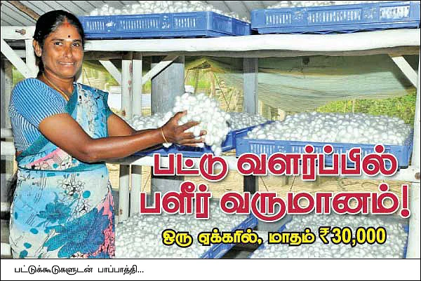 பலே வருமானத்துக்கு பட்டு வளர்ப்பு...