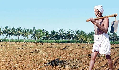 கோடை உழவு... பொன்னேர்...விதை முகூர்த்தம்...