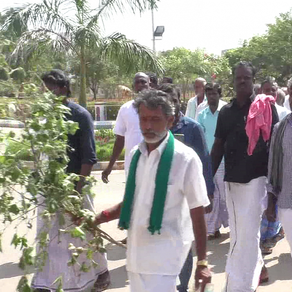 `அமெரிக்கன் படைப்புழுவால் வாழ்வாதாரமே அழிந்துவிட்டது!' - கலெக்டரிடம் கண்கலங்கிய விவசாயிகள்