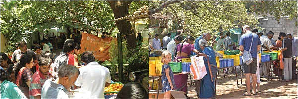 விளையும் விலையும்! - சந்தைக்கு வழிகாட்டும் தொடர் - 15