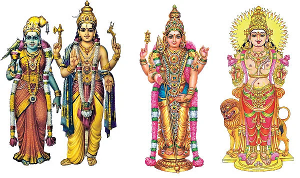 வருங்கால கணவர் இப்படித்தான்!