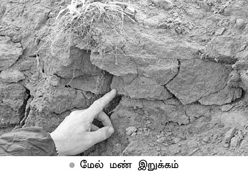 மண்ணுக்கு மரியாதை