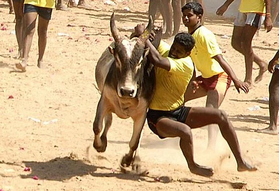 Can the Tamil Nadu government pass an Ordinance to allow Jallikattu to go on?