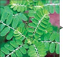 மருத்துவ டிப்ஸ், செல் டிப்ஸ், சமையல் டிப்ஸ்