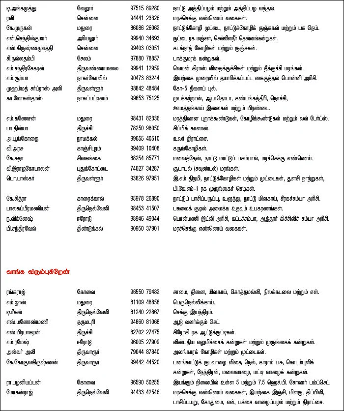 பசுமை சந்தை