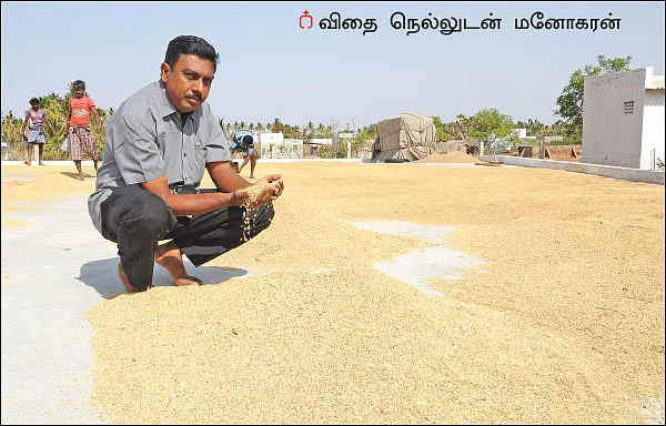 விதைநெல் உற்பத்தியில் தடம் பதிக்கும் தாராபுரம்...