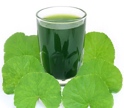 ஃபீல் ஃப்ரெஷ்!