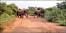 வலையோசை : வீடு.சுரேஸ்குமார்...