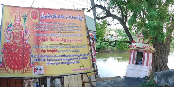 மரத்துக்கும் மரத்துக்கும் கல்யாணம்!