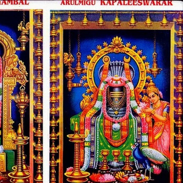 கபாலி கோயில் புன்னை வனநாதர் சிலை என்னவானது பக்தர்கள் கவலை!