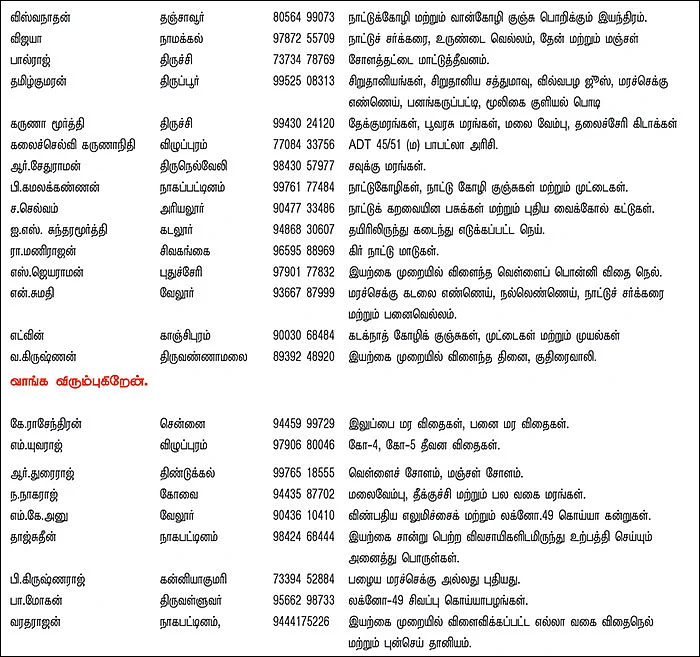 பசுமை சந்தை